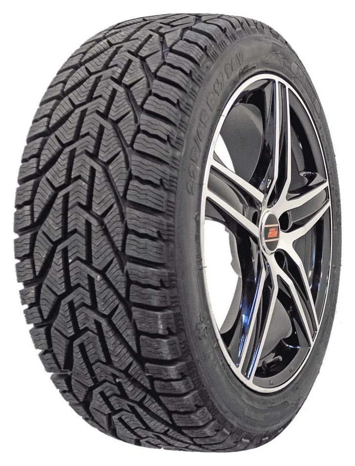 Taurus Winter FR, 205/55 R16 91H