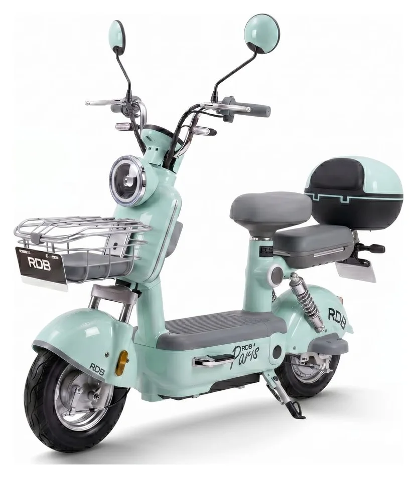 RDB PARIS+, 600 W, 225 kg, 48V 20Ah
